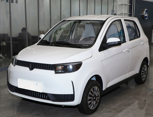 Ecoの若者達のための友好的なココヤシの電気自動車100km/Hのリチウム電池